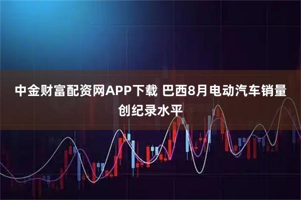 中金财富配资网APP下载 巴西8月电动汽车销量创纪录水平